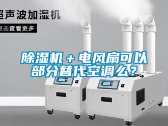 企業(yè)新聞除濕機(jī)＋電風(fēng)扇可以部分替代空調(diào)么？
