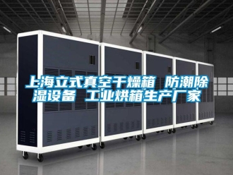 常見問題上海立式真空干燥箱 防潮除濕設(shè)備 工業(yè)烘箱生產(chǎn)廠家