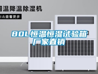 常見問題80L恒溫恒濕試驗(yàn)箱廠家直銷