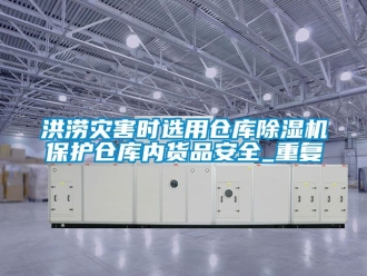 企業(yè)新聞洪澇災(zāi)害時選用倉庫除濕機保護倉庫內(nèi)貨品安全_重復(fù)