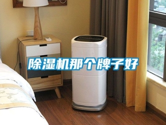 行業(yè)新聞除濕機那個牌子好