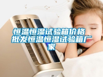 知識百科恒溫恒濕試驗箱價格 批發(fā)恒溫恒濕試驗箱廠家