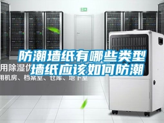 常見問題防潮墻紙有哪些類型 墻紙應該如何防潮