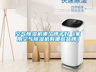 企業(yè)新聞空氣除濕機(jī)哪個(gè)牌子好（家用空氣除濕機(jī)有哪些品牌）