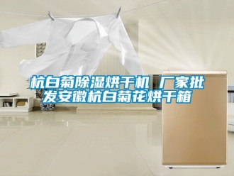 企業(yè)新聞杭白菊除濕烘干機(jī) 廠家批發(fā)安徽杭白菊花烘干箱