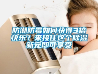 常見問題防潮防霉如何獲得3倍快樂？來接住這個除濕新寵即可享受
