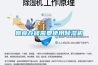 糧食存儲需要使用除濕機(jī)