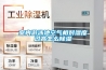 室內(nèi)游泳池空氣相對濕度過高怎么除濕