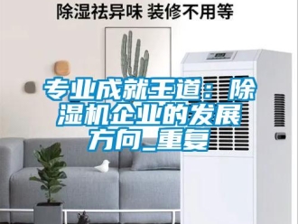 行業(yè)新聞專業(yè)成就王道：除濕機企業(yè)的發(fā)展方向_重復(fù)
