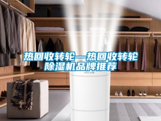 常見問題熱回收轉(zhuǎn)輪—熱回收轉(zhuǎn)輪除濕機品牌推薦