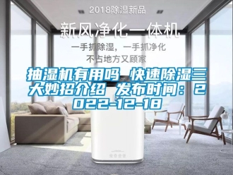 企業(yè)新聞抽濕機(jī)有用嗎 快速除濕三大妙招介紹 發(fā)布時(shí)間：2022-12-18
