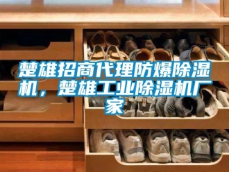 企業(yè)新聞楚雄招商代理防爆除濕機，楚雄工業(yè)除濕機廠家