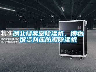 行業(yè)新聞湖北檔案室除濕機(jī)，博物館資料庫防潮除濕機(jī)